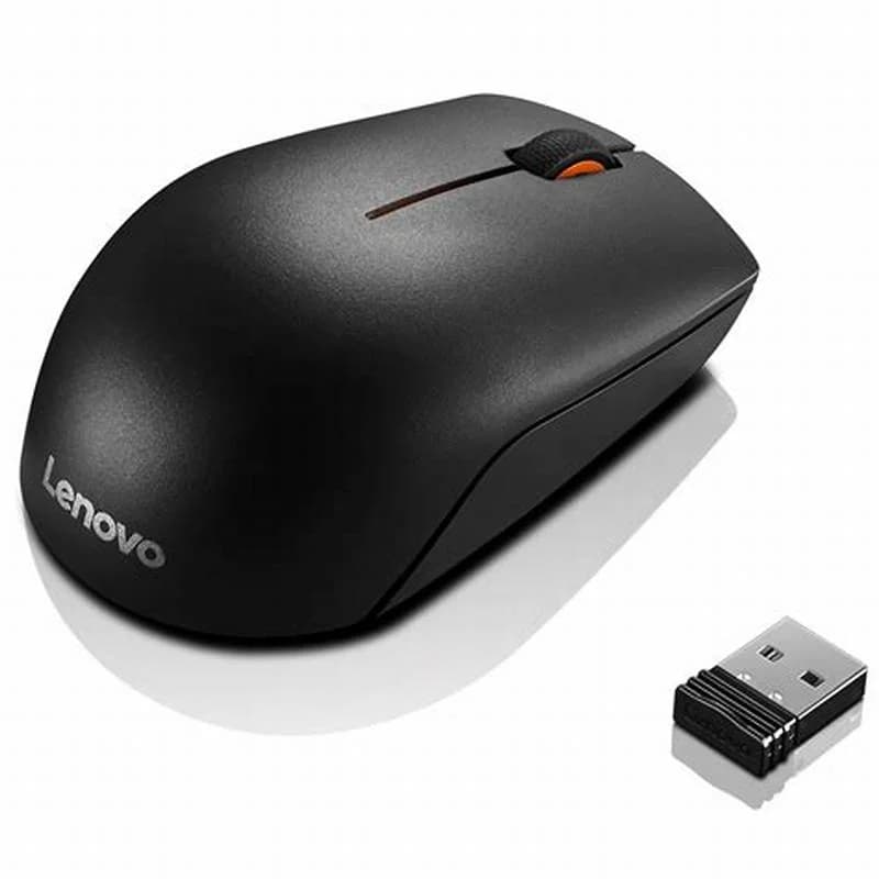 Mouse Lenovo 300 USB Wired Black (GX30M39704)