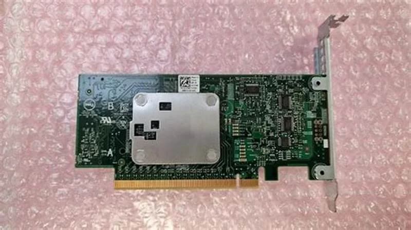Dell PCIe Flash NVMe SSD Extender Express (235NK)