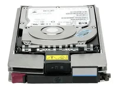 HP 300GB 10K 2GB DP FC HDD (364622-B22)