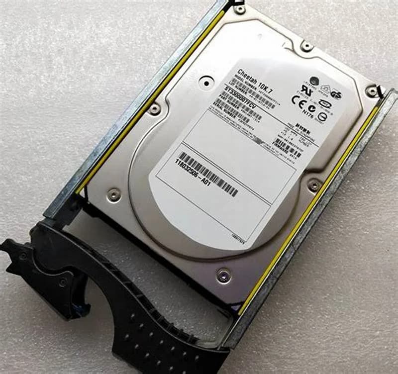 EMC 5048582, 300 GB 10K FC HDD (5048582)