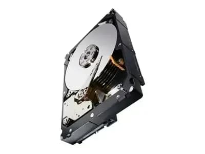 Server aksesuarı Seagate ST1000NM0033 (ST1000NM0033)