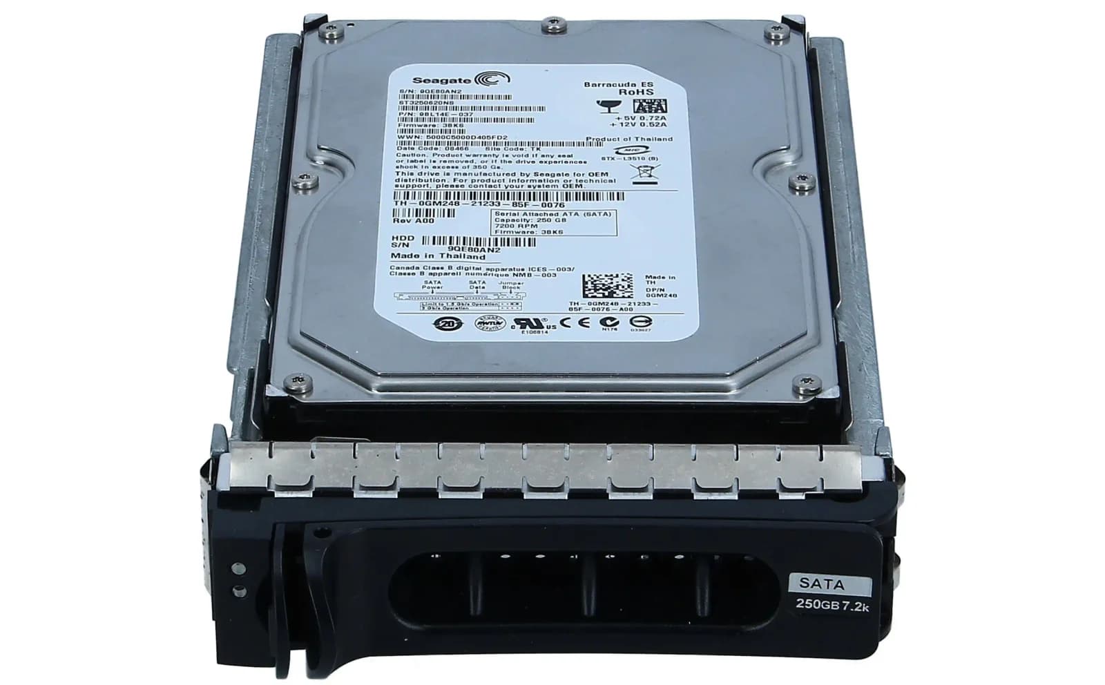 Server aksesuarı Seagate ST3250310NS (ST3250310NS)