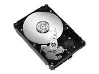 Server aksesuarı Seagate ST3500630NS (ST3500630NS)