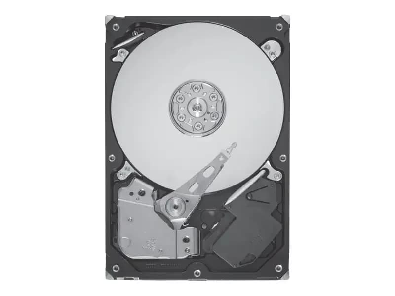 Server aksesuarı Seagate ST9300605SS (ST9300605SS)