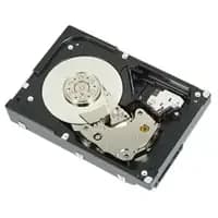 DELL 2TB 7.2K 3.5INCH NL SAS HDD (WTJVY)