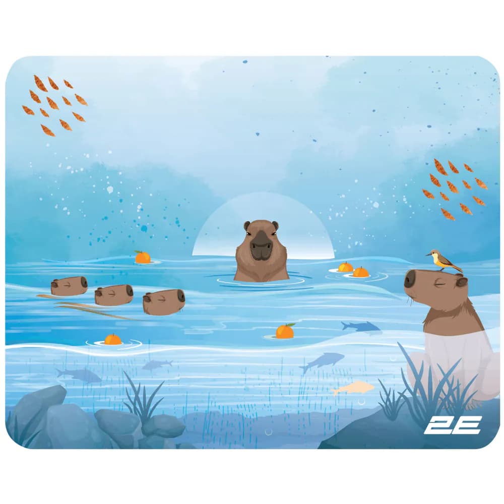 Mousepad 2E CAPYBARRA, S(250x200x2mm), blue (2E--S-CAPY-BLUE)