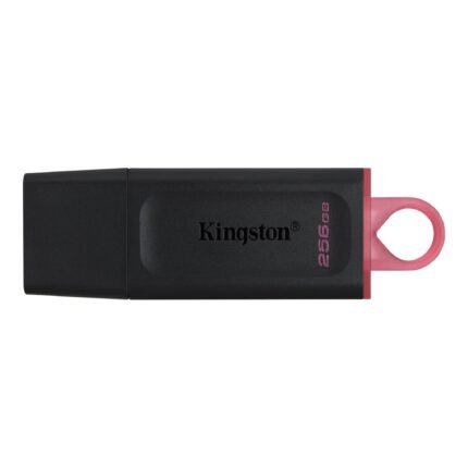 Kingston DataTraveler Exodia USB 3.2 Gen 1 256GB Flash Drive (DTX 256GB)