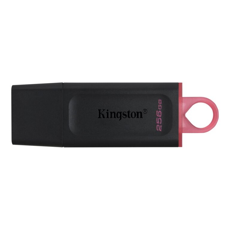 Kingston DataTraveler Exodia USB 3.2 Gen 1 256GB Flash Drive (DTX 256GB)