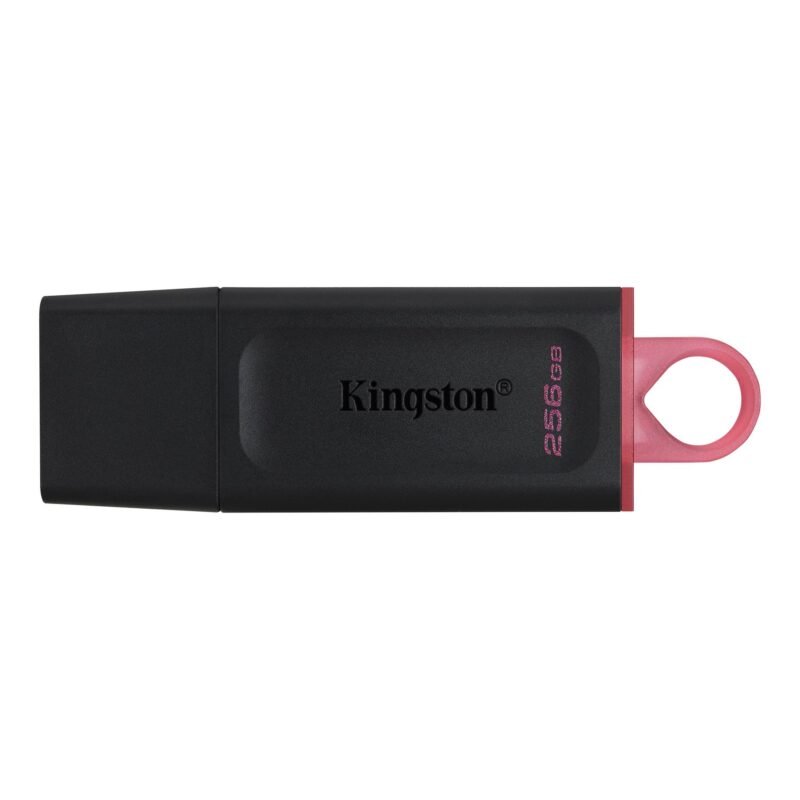Kingston DataTraveler Exodia USB 3.2 Gen 1 256GB Flash Drive (DTX 256GB)
