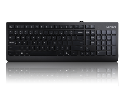 Lenovo 300 USB Wired Black Keyboard (GX30M39684)