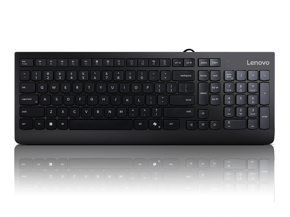 Lenovo 300 USB Wired Black Keyboard (GX30M39684)