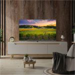 TV 55 Thomson QLED 4K 60Hz Smart Google TV Black (55QG5C14) 4