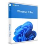 Win 11 Pro 64Bit Eng Intl 1pk DSP OEI DVD (FQC-10528)