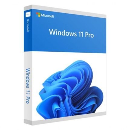 Win 11 Pro 64Bit Eng Intl 1pk DSP OEI DVD (FQC-10528)