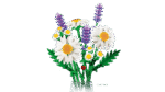 LEGO Constructor Botanicals Daisies (11508) - Image 2