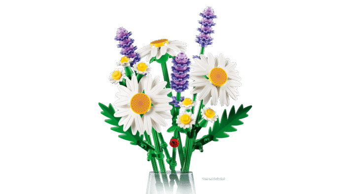 LEGO Constructor Botanicals Daisies (11508) - Image 2