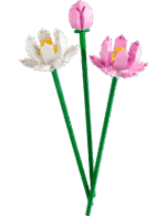 LEGO Constructor Icons Botanicals Lotus Flowers (40647) - Image 3