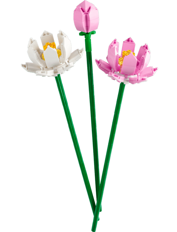 LEGO Constructor Icons Botanicals Lotus Flowers (40647) - Image 3
