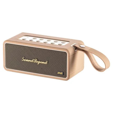 Portativ dinamik 2E SoundLegend 80W 2E-BSSLWBN qəhvəyi